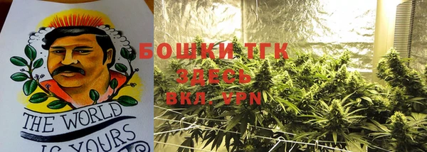 стафф Богданович
