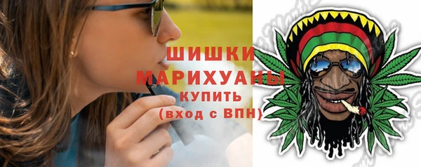 стафф Богданович