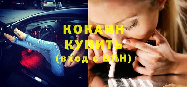 стафф Богданович